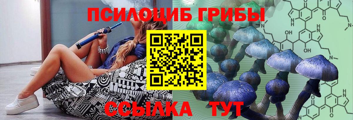 Галлюциногенные грибы Magic Shrooms  где найти   Вичуга  Вход с VPN  Псилоцибиновые грибы Psilocybine cubensis 