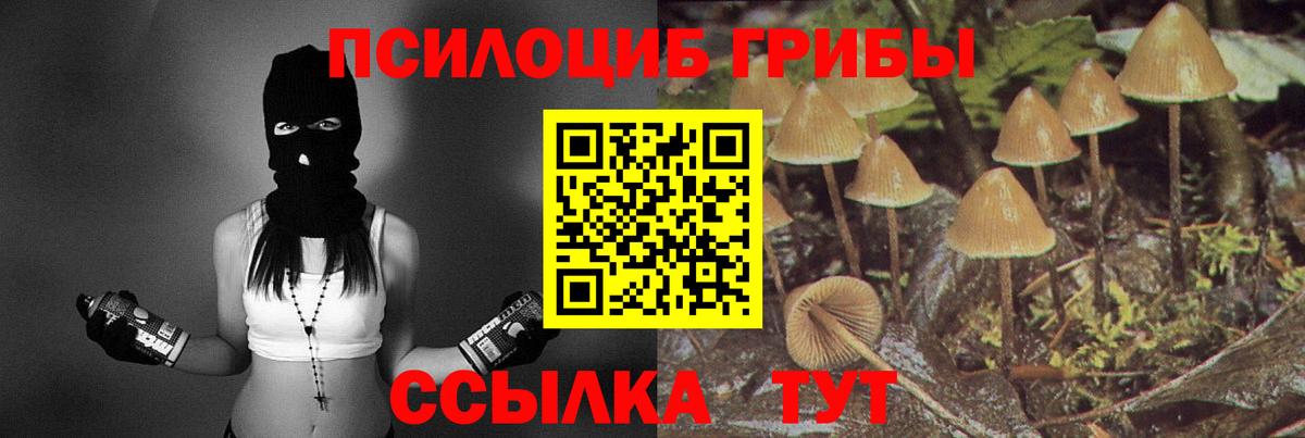 Псилоцибиновые грибы прущие грибы Вичуга